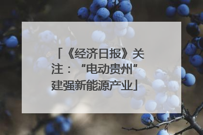 《经济日报》关注：“电动贵州”建强新能源产业