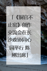 《铜官不止窑》创作交流会在长沙政协同心园举行 陈刚出席