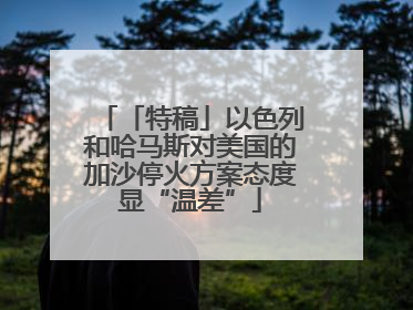 「特稿」以色列和哈马斯对美国的加沙停火方案态度显“温差”