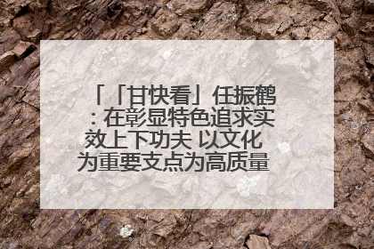 「甘快看」任振鹤：在彰显特色追求实效上下功夫 以文化为重要支点为高质量发展增添动能