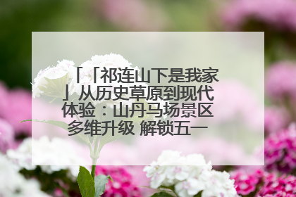 「祁连山下是我家」从历史草原到现代体验：山丹马场景区多维升级 解锁五一文旅新玩法