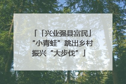 「兴业强县富民」“小青蛙”跳出乡村振兴“大步伐”