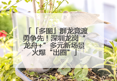 「多图」群龙竞渡勇争先！深圳龙岗“龙舟+”多元新场景火爆“出圈”
