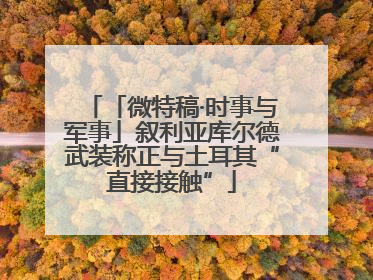 「微特稿·时事与军事」叙利亚库尔德武装称正与土耳其“直接接触”