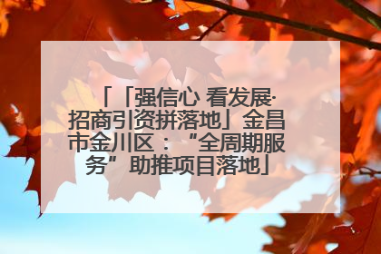 「强信心 看发展·招商引资拼落地」金昌市金川区：“全周期服务”助推项目落地