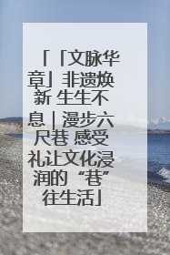 「文脉华章」非遗焕新 生生不息｜漫步六尺巷 感受礼让文化浸润的“巷”往生活