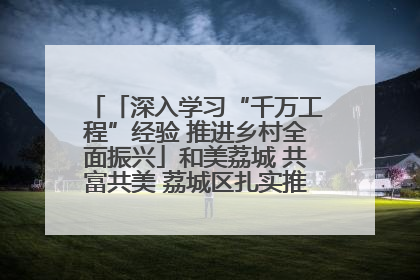 「深入学习“千万工程”经验 推进乡村全面振兴」和美荔城 共富共美 荔城区扎实推进乡村振兴工作
