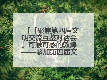「聚焦第四届文明交流互鉴对话会」可触可感的敦煌——参加第四届文明交流互鉴对话会的外宾参观上元市集