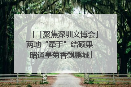 「聚焦深圳文博会」两地“牵手”结硕果 昭通皇菊香飘鹏城
