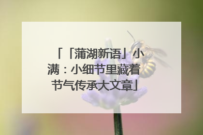 「蒲湖新语」小满：小细节里藏着节气传承大文章