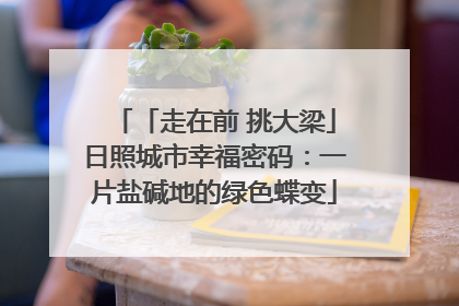 「走在前 挑大梁」日照城市幸福密码：一片盐碱地的绿色蝶变