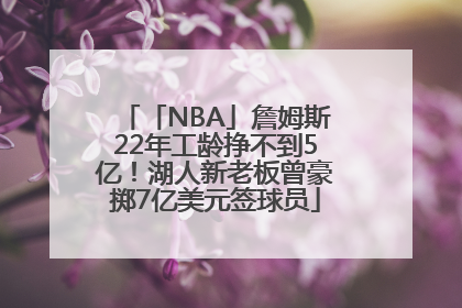 「NBA」詹姆斯22年工龄挣不到5亿！湖人新老板曾豪掷7亿美元签球员