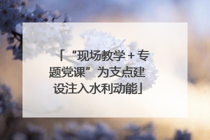 “现场教学＋专题党课”为支点建设注入水利动能