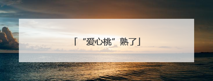 “爱心桃”熟了