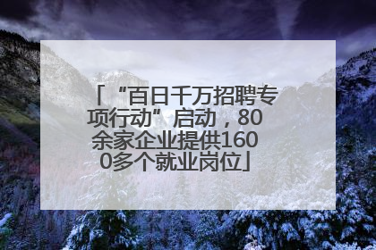 “百日千万招聘专项行动”启动，80余家企业提供1600多个就业岗位