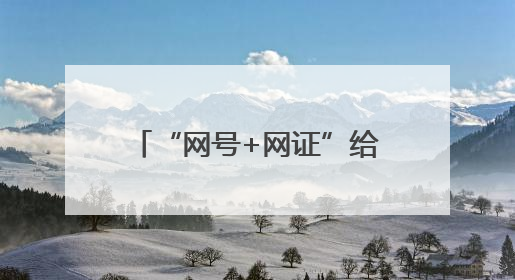 “网号+网证”给你的身份信息“加密”！怎么申领？