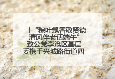 “粽叶飘香敬贤德 清风伴老话端午” 致公党李沧区基层委携手兴城路街道四流北路社区开展端午节主题活动