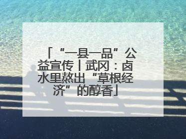 “一县一品”公益宣传丨武冈：卤水里熬出“草根经济”的醇香