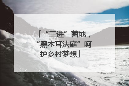 “三进”菌地，“黑木耳法庭”呵护乡村梦想