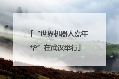 “世界机器人嘉年华”在武汉举行