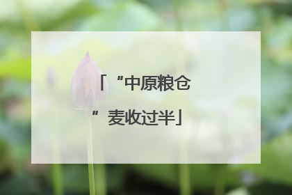 “中原粮仓”麦收过半