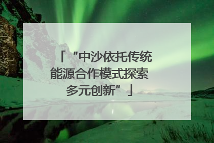 “中沙依托传统能源合作模式探索多元创新”