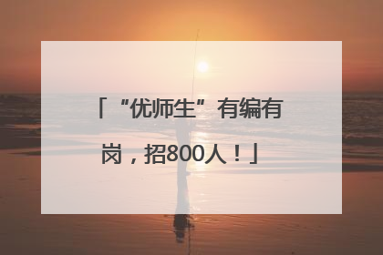 “优师生”有编有岗，招800人！