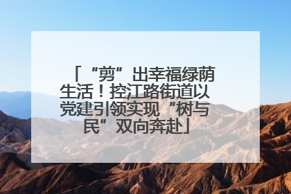 “剪”出幸福绿荫生活！控江路街道以党建引领实现“树与民”双向奔赴