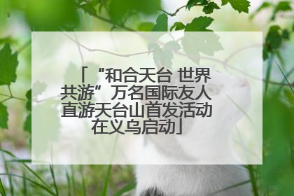 “和合天台 世界共游”万名国际友人直游天台山首发活动在义乌启动