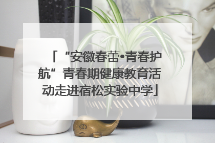 “安徽春蕾•青春护航”青春期健康教育活动走进宿松实验中学