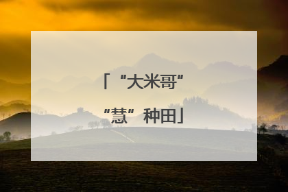 “大米哥”“慧”种田
