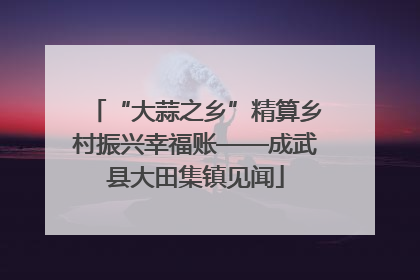 “大蒜之乡”精算乡村振兴幸福账——成武县大田集镇见闻