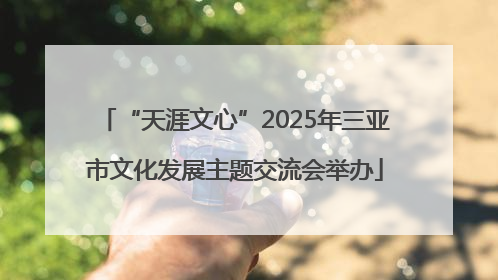“天涯文心”2025年三亚市文化发展主题交流会举办