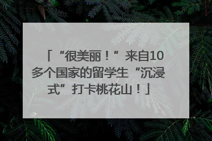 “很美丽！”来自10多个国家的留学生“沉浸式”打卡桃花山！