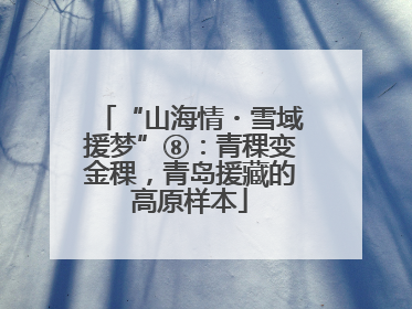 “山海情・雪域援梦”⑧：青稞变金稞，青岛援藏的高原样本