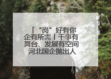 “岗”好有你 企有所需丨干事有舞台、发展有空间 河北国企抛出人才“橄榄枝”