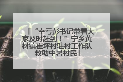 “幸亏彭书记带着大家及时赶到！”宁乡黄材镇崔坪村驻村工作队救助中暑村民
