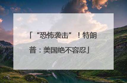 “恐怖袭击”！特朗普：美国绝不容忍