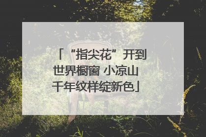 “指尖花”开到世界橱窗 小凉山千年纹样绽新色