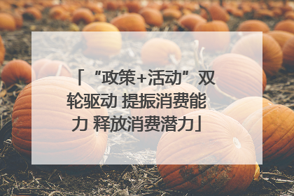 “政策+活动”双轮驱动 提振消费能力 释放消费潜力