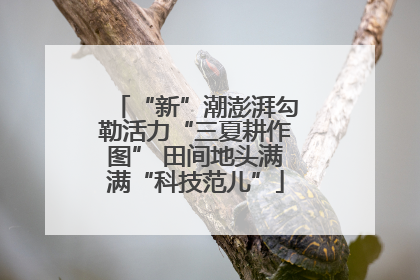 “新”潮澎湃勾勒活力“三夏耕作图” 田间地头满满“科技范儿”