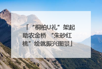 “桐柏U礼”架起助农金桥 “朱砂红桃”绘就振兴图景