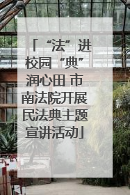 “法”进校园“典”润心田 市南法院开展民法典主题宣讲活动