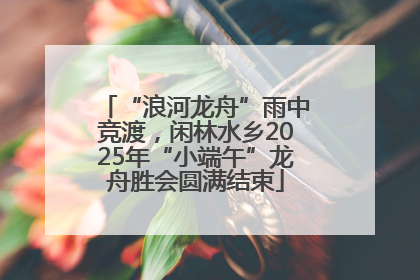 “浪河龙舟”雨中竞渡，闲林水乡2025年“小端午”龙舟胜会圆满结束