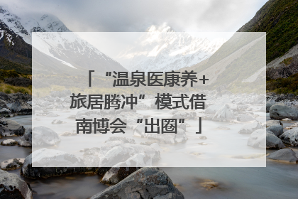 “温泉医康养+旅居腾冲”模式借南博会“出圈”