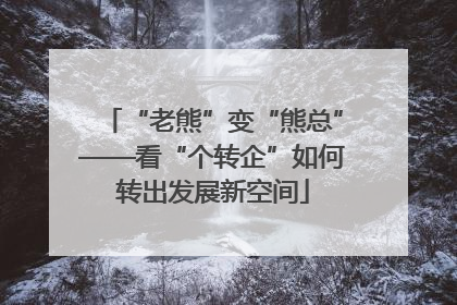 “老熊”变“熊总”——看“个转企”如何转出发展新空间