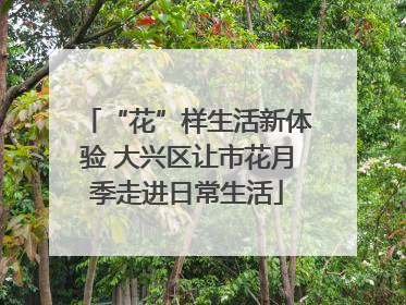 “花”样生活新体验 大兴区让市花月季走进日常生活