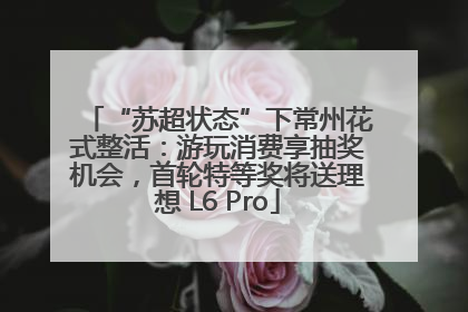 “苏超状态”下常州花式整活：游玩消费享抽奖机会，首轮特等奖将送理想 L6 Pro
