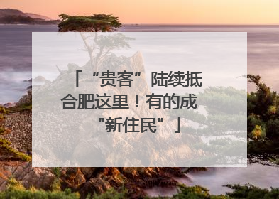 “贵客”陆续抵合肥这里！有的成“新住民”