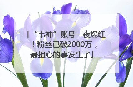 “韦神”账号一夜爆红！粉丝已破2000万，最担心的事发生了